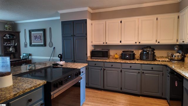 166 Chestnut Lake Drive, Inman, SC 29349