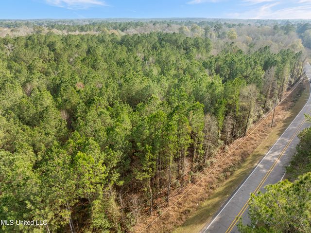 0 Elks Lake Road, Hattiesburg, MS 39401