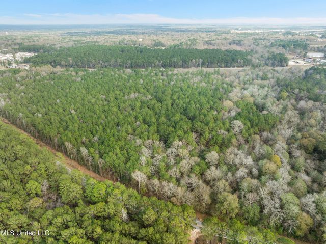0 Elks Lake Road, Hattiesburg, MS 39401