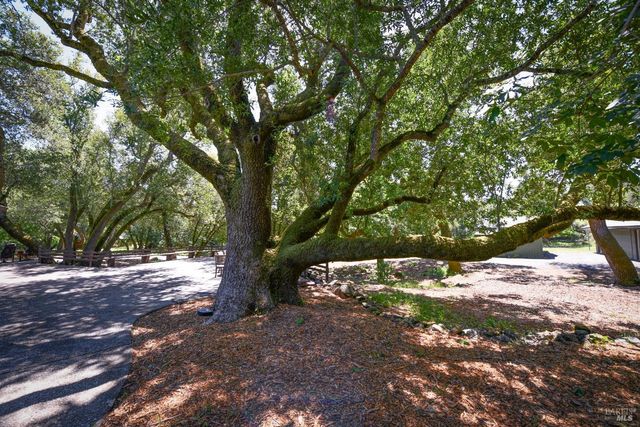 2120 Grove St, Sonoma, CA 95476