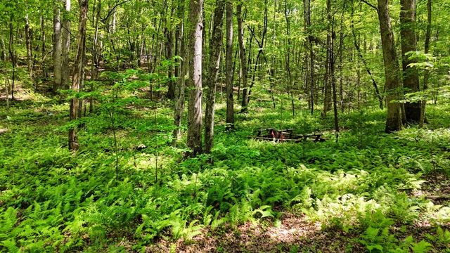 201 Jaguar Lane, Blue Ridge, GA 30513