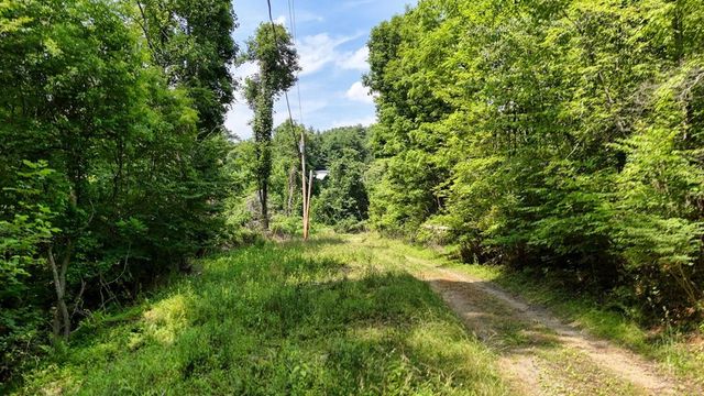 201 Jaguar Lane, Blue Ridge, GA 30513