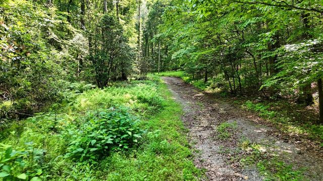 201 Jaguar Lane, Blue Ridge, GA 30513