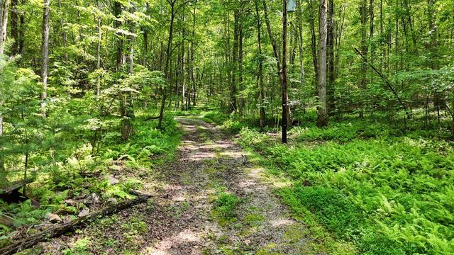 201 Jaguar Lane, Blue Ridge, GA 30513