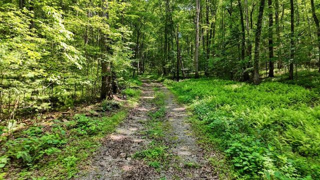 201 Jaguar Lane, Blue Ridge, GA 30513