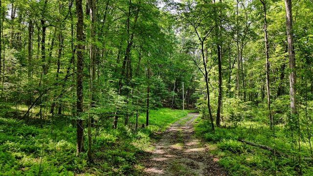 201 Jaguar Lane, Blue Ridge, GA 30513