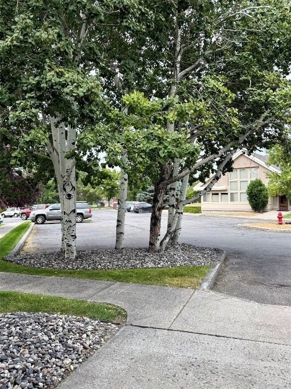 945 Technology Boulevard, Bozeman, MT 59718 photo 6