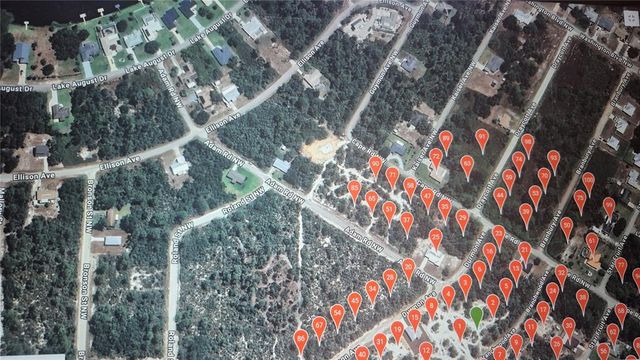 547 BRANCHWOOD AVENUE, Lake Placid, FL 33852