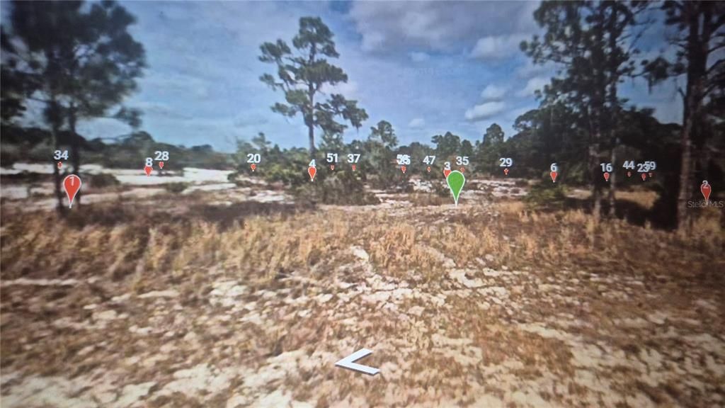 547 BRANCHWOOD AVENUE, Lake Placid, FL 33852