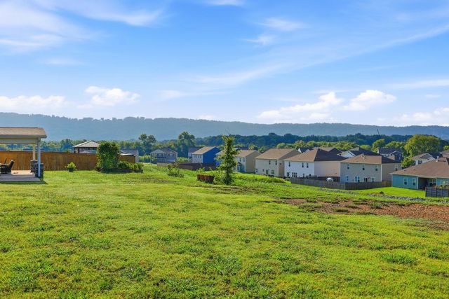 8514 Briar Rose Place, Ooltewah, TN 37363