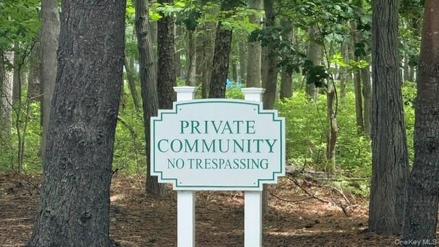 102 Hampton Vista Drive, Manorville, NY 11949