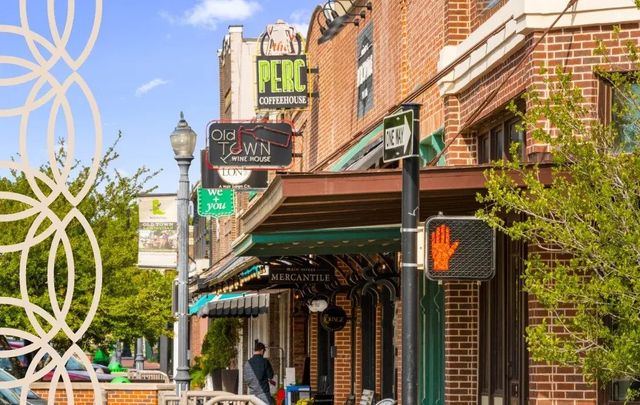 227 Lanyard Drive, Lewisville, TX 75057