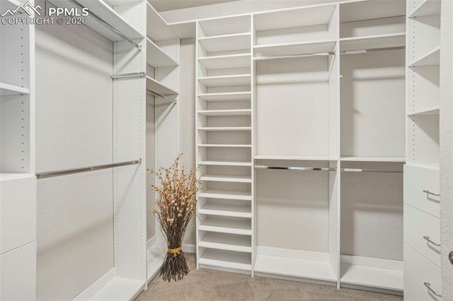 7802 Wagonwood Place, Colorado Springs, CO 80908