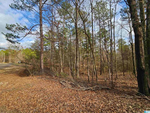 3250 BERRYWOOD ROAD, Pinson, AL 35126