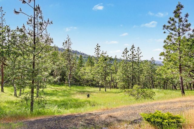 275 Citadel Road, Trail, OR 97541