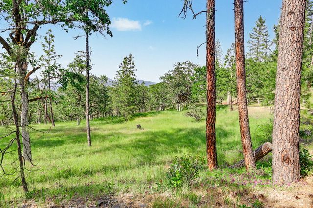 275 Citadel Road, Trail, OR 97541