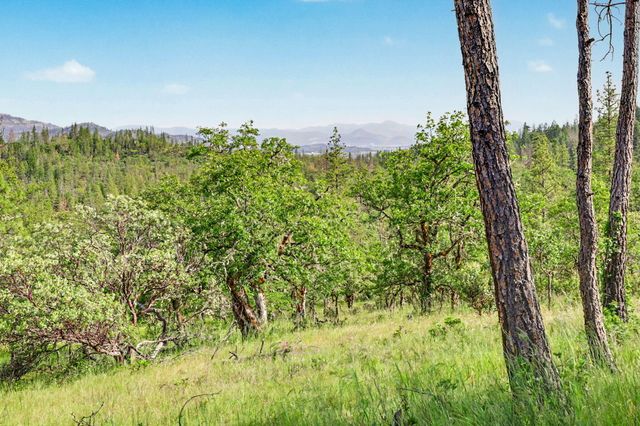 275 Citadel Road, Trail, OR 97541