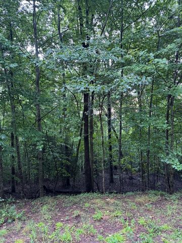 na Wildwood Trail, Blairsville, GA 30512