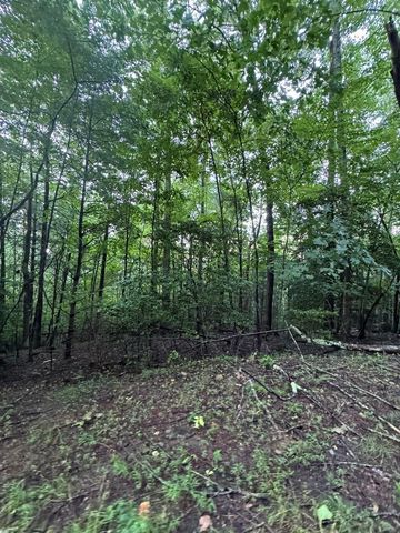 na Wildwood Trail, Blairsville, GA 30512