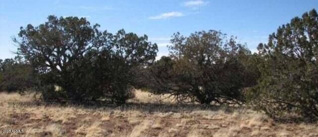 tbd Chevelon Canyon Ranch 363 -- 363, Heber, AZ 85928