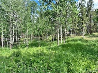 293 Aspen Circle, Black Hawk, CO 80422