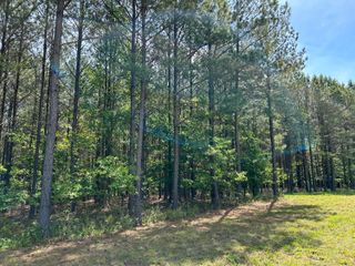 250 Bear Trace Drive Rb 200, Jasper, TN 37347