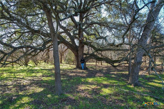 TBD Tract 5 22.29 acres CR 230, Harwood, TX 78632