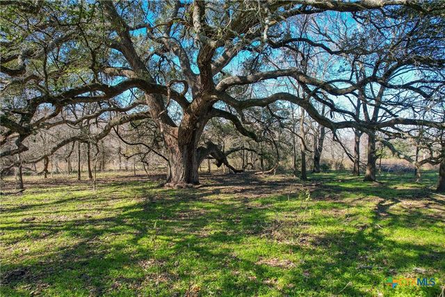 TBD Tract 5 22.29 acres CR 230, Harwood, TX 78632