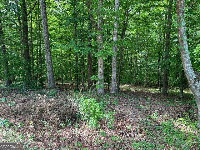 5920 Gilstrap Drive, Murrayville, GA 30564