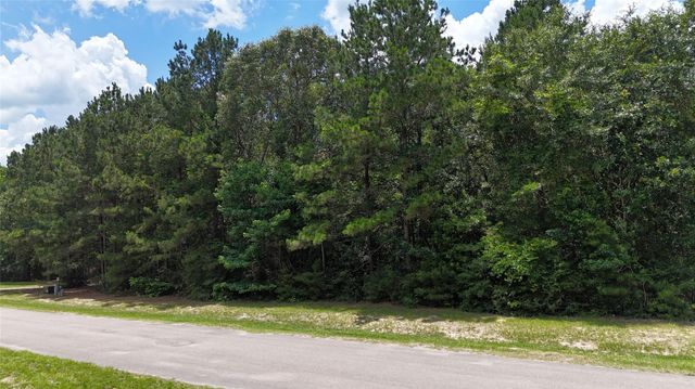 8524 Crown Lake Court, Montgomery, TX 77316