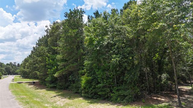 8524 Crown Lake Court, Montgomery, TX 77316