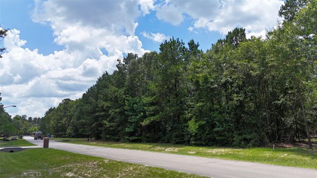 8524 Crown Lake Court, Montgomery, TX 77316