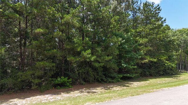 8524 Crown Lake Court, Montgomery, TX 77316