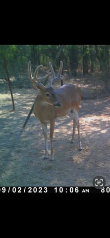 26.02 AC N Fm 129, Santo, TX 76472