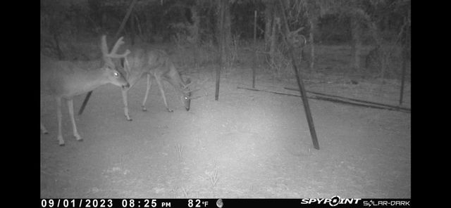 26.02 AC N Fm 129, Santo, TX 76472