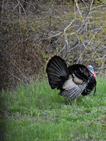 26.02 AC N Fm 129, Santo, TX 76472