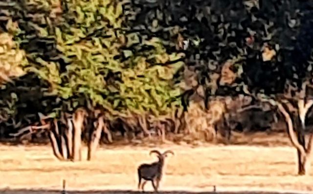 26.02 AC N Fm 129, Santo, TX 76472