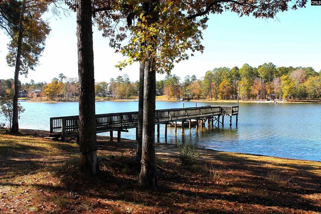 436 Plum Nelly Road, Prosperity, SC 29127