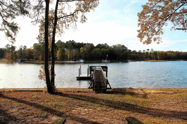 436 Plum Nelly Road, Prosperity, SC 29127