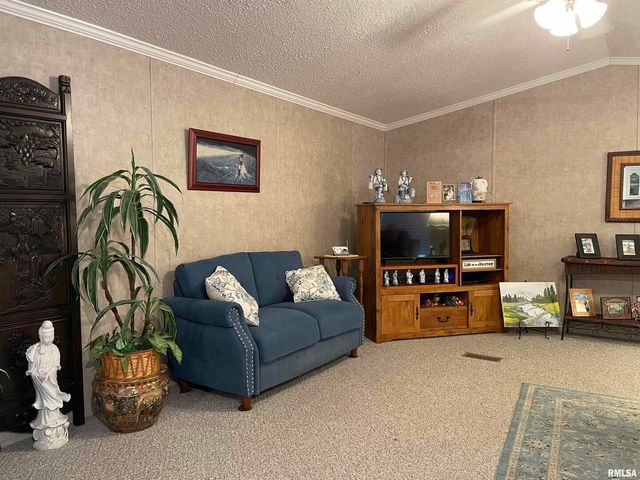 557 TWIN OAKS Drive, Cobden, IL 62920