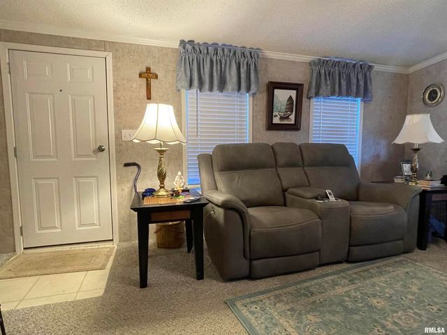 557 TWIN OAKS Drive, Cobden, IL 62920