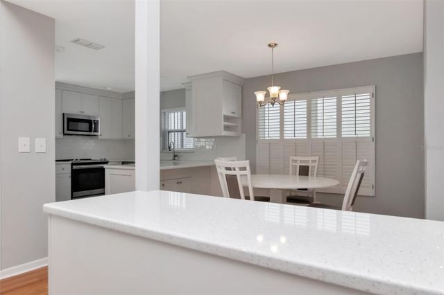 11504 CERCA DEL RIO PLACE, Temple Terrace, FL 33617