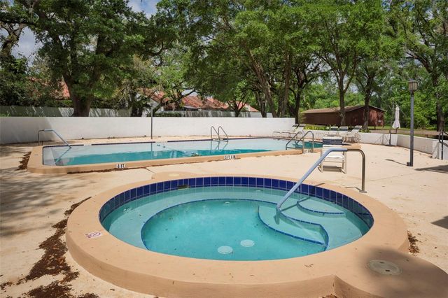 11504 CERCA DEL RIO PLACE, Temple Terrace, FL 33617