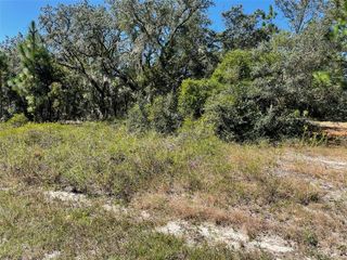 LOT 2 SW WINDING HILLS ROAD, Dunnellon, FL 34431