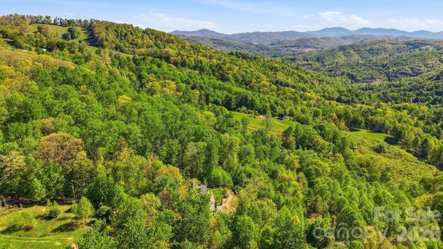394 Hummingbird Lane, Elk Park, NC 28622