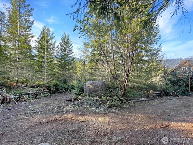 11 N Hamma Ridge Court, Lilliwaup, WA 98555