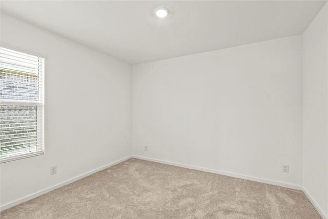 1138 Barbary Fields Street, Forney, TX 75126