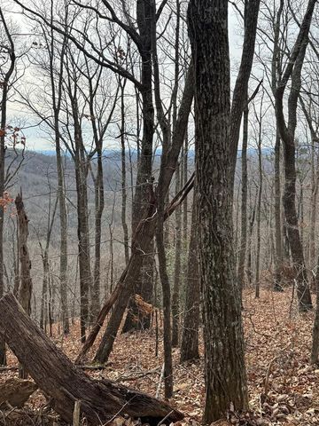 Lot 109A Folkstone Road, Talking Rock, GA 30143