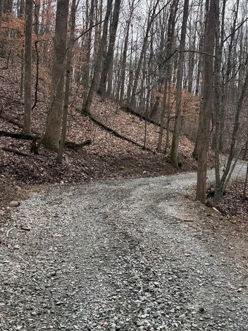 Lot 109A Folkstone Road, Talking Rock, GA 30143