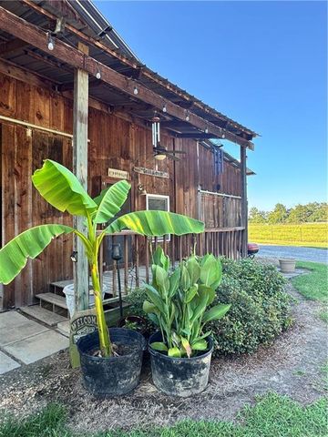 250 Hook NE Road, Ranger, GA 30734